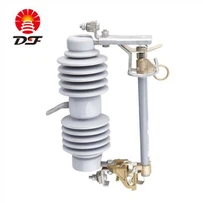 Posliinisulakeleikkaus